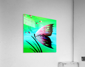 Beautiful butterfly  Acrylic Print