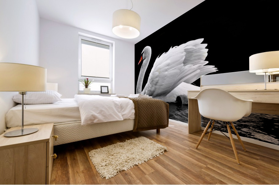 Beautiful swan Mural print