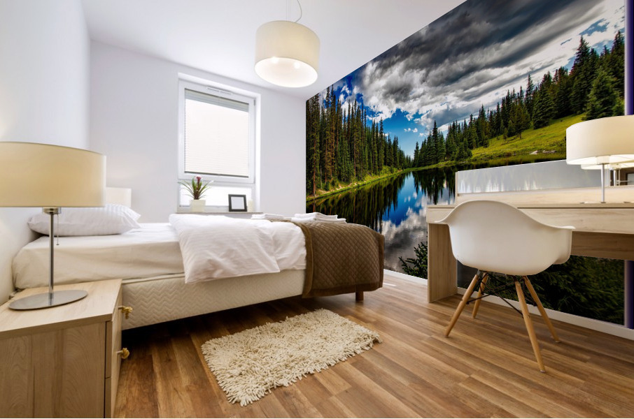 Lake irene Mural print