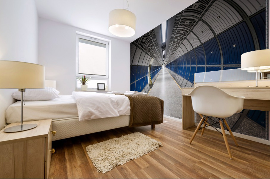 Hallway  Mural print