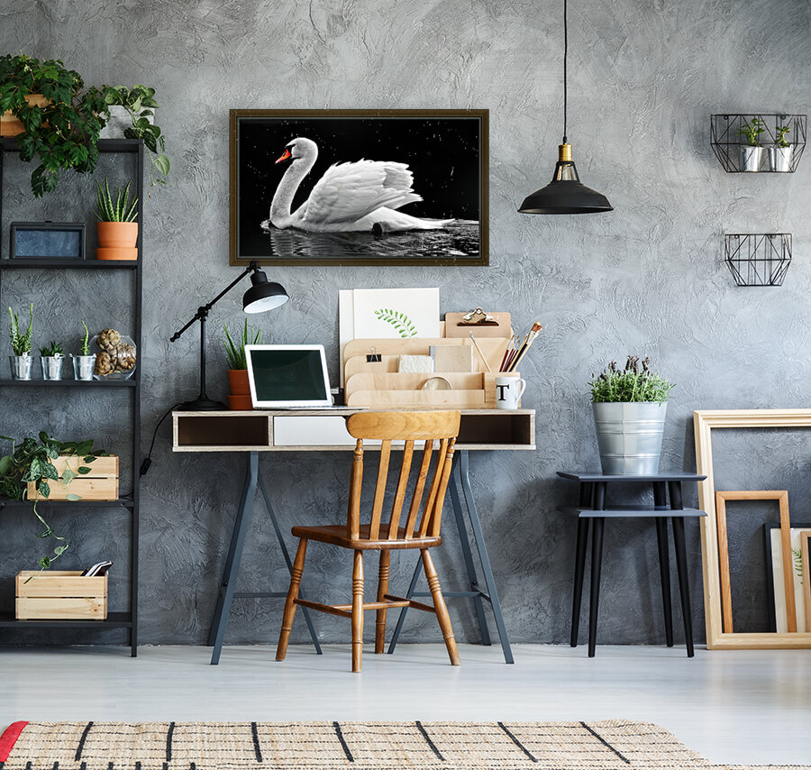Beautiful swan Reproduction