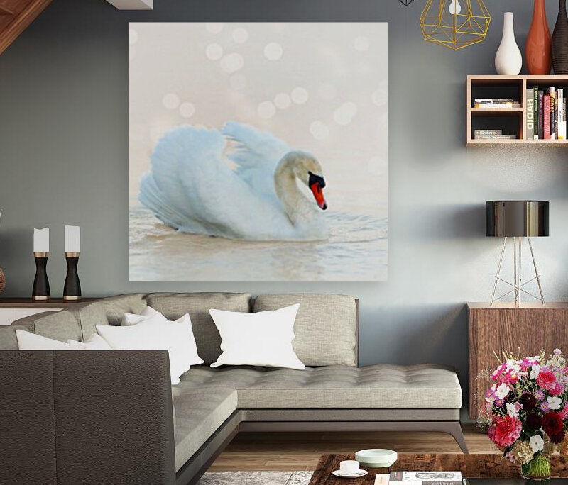 Beautiful swan Reproduction