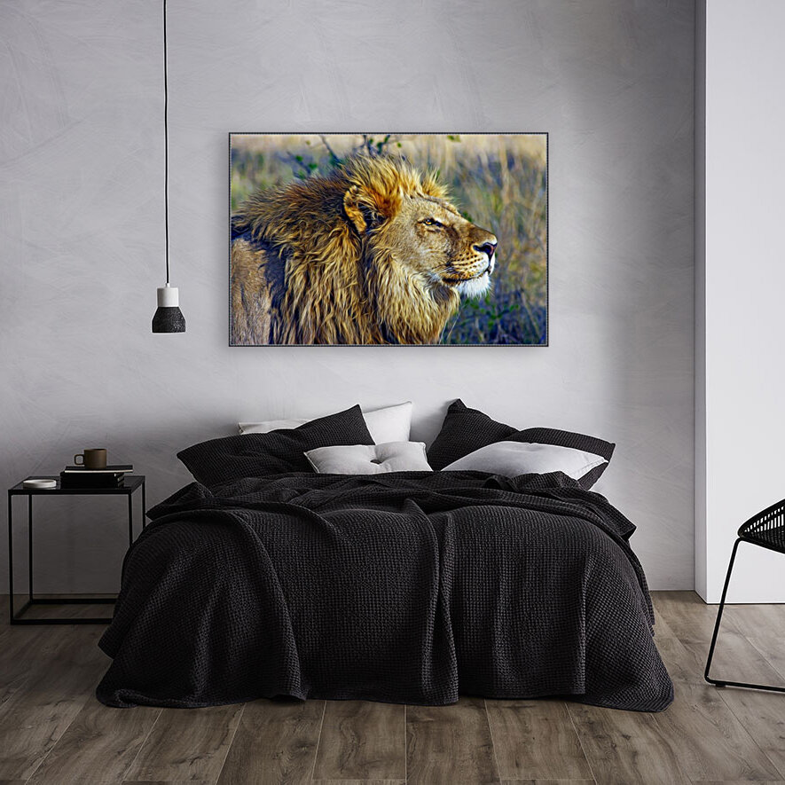 Love lion  Reproduction