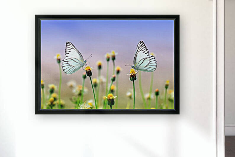 Beautiful butterfly and flowers  by Nature Art