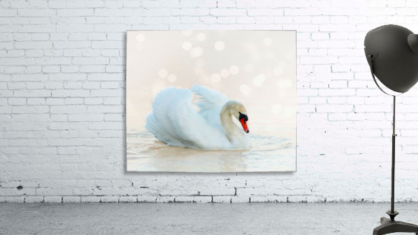 Beautiful swan Wall Preview