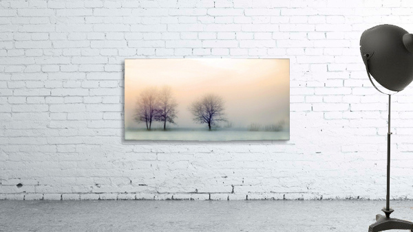 Nature winter landscape Wall Preview