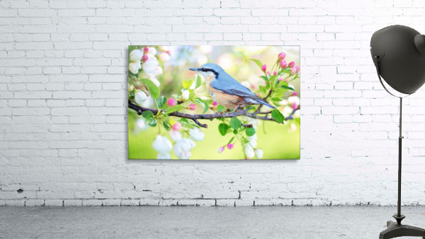 spring bird Wall Preview