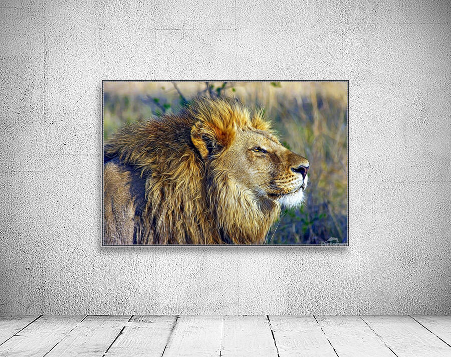 Love lion  Wall Preview