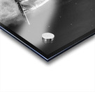 Photo shoot with Internationally acclaimed flutist and rock climber Nina Acrylic print