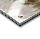 Wolves are legendary because of their spine-tingling howl  Acrylic print