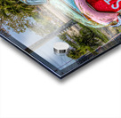 Stop sigh wheel....  Acrylic print