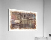 Elk crossing a river Acrylic Print