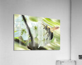 Bumble bee on flower Acrylic Print