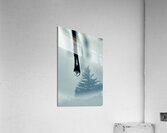 Water drop with tree reflection Acrylic Print