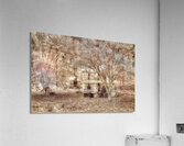 Memories behind the trees Acrylic Print