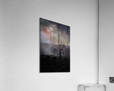 Moonlite tree on the farm Acrylic Print