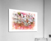 Mountain Laurel flowers Acrylic Print