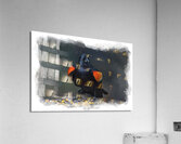 Red-winged Blackbird Acrylic Print