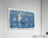 White egret landing Acrylic Print