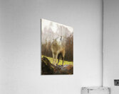Wolves are legendary because of their spine-tingling howl  Acrylic Print