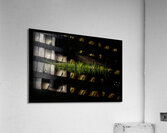 Grass along the rivers edge Acrylic Print