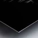 Reeds along the bank along a stream Metal print