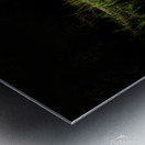 Grass along the rivers edge Metal print