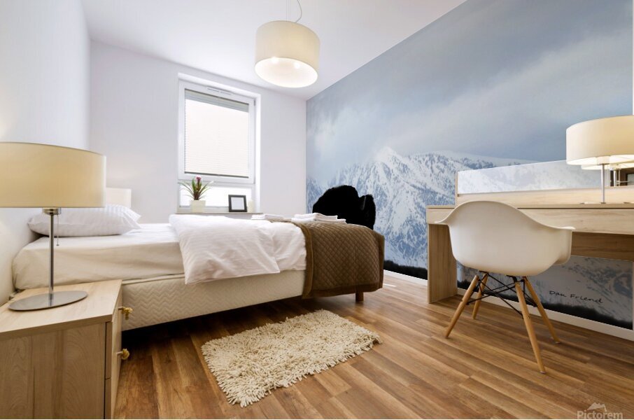 Buffalo in the winter Mural print