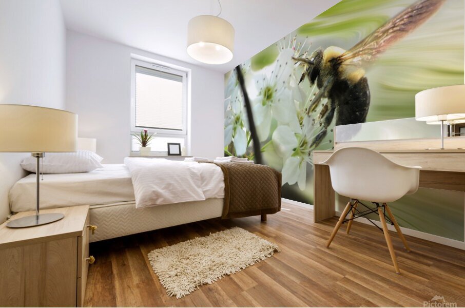 Bumble bee on flower Mural print