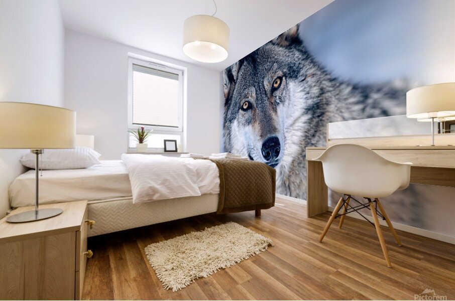 Wolf portrait Mural print