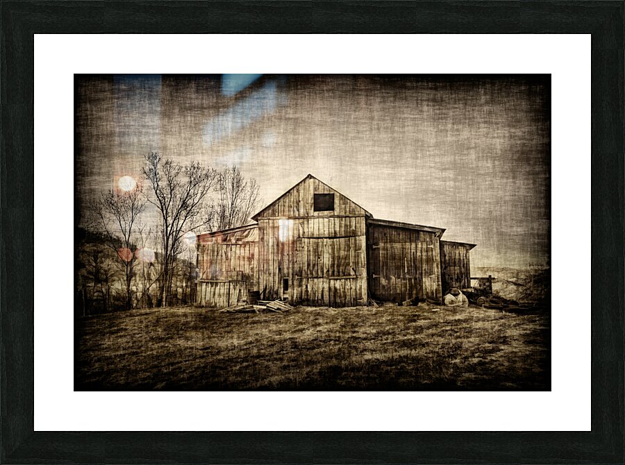 Old barn in field Picture Frame print