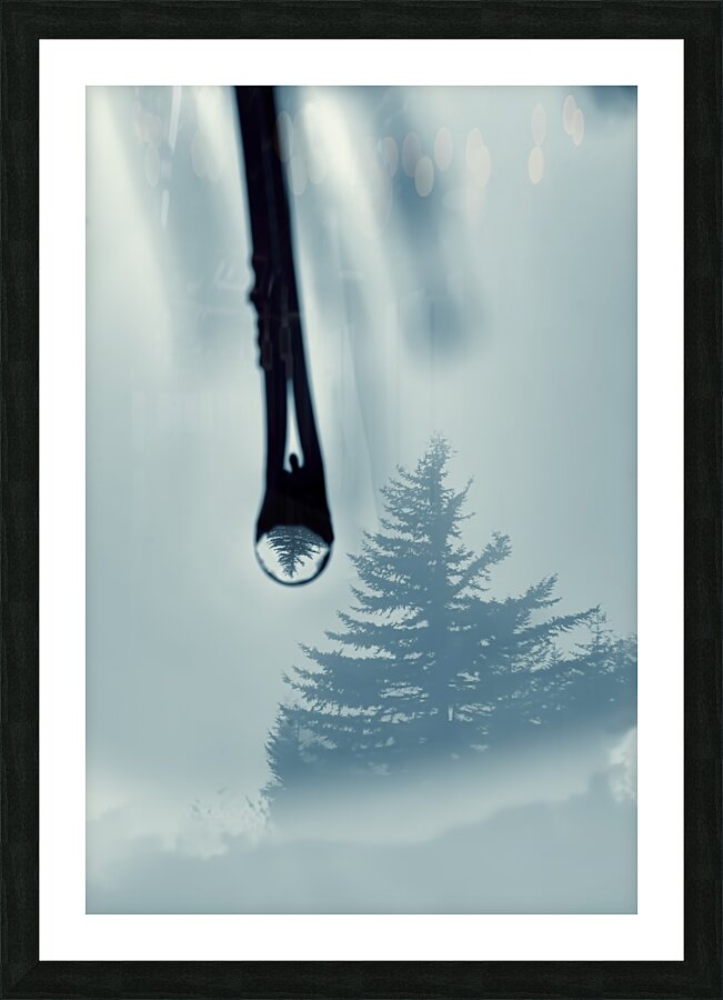 Water drop with tree reflection Picture Frame print