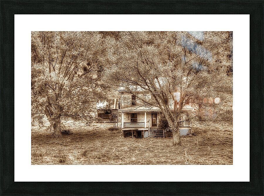 Memories behind the trees Picture Frame print