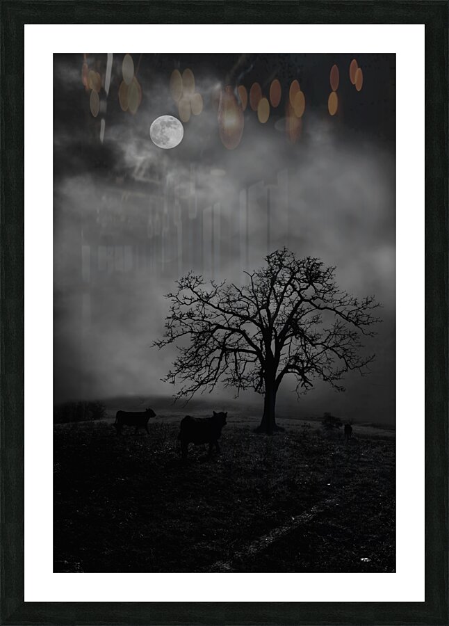 Moonlite tree on the farm Picture Frame print
