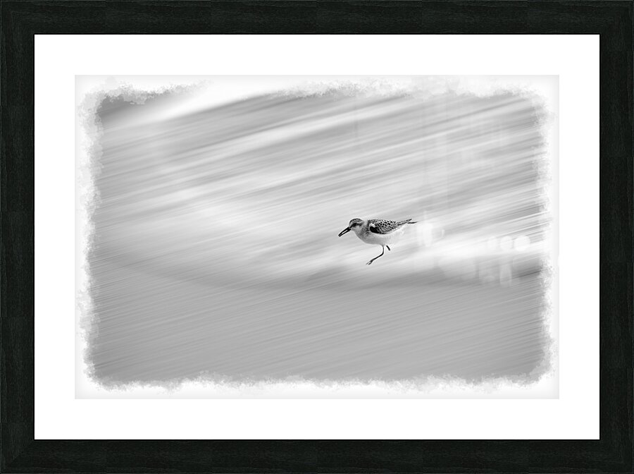 Running with the wave Picture Frame print