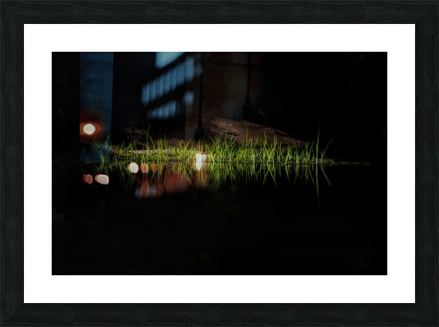 Grass along the rivers edge Picture Frame print
