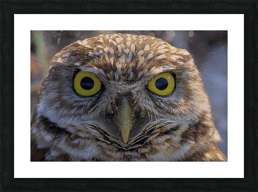 Two yellow eyes Picture Frame print