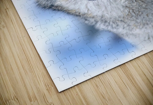 Wolf portrait Daniel L Friend puzzle