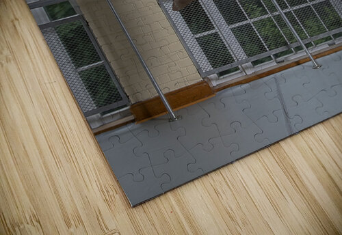 Flying Daniel L Friend puzzle