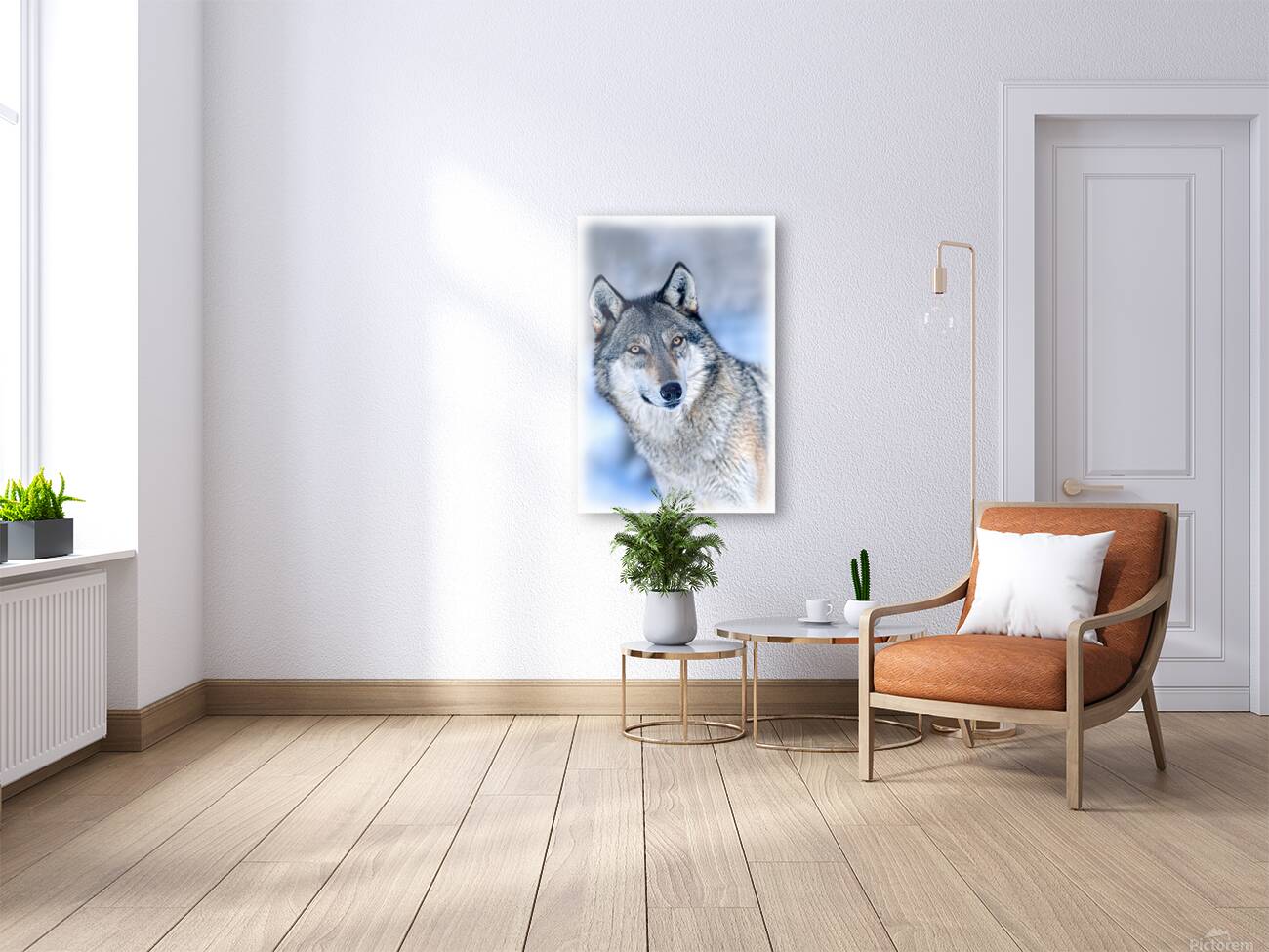 Wolf portrait Reproduction