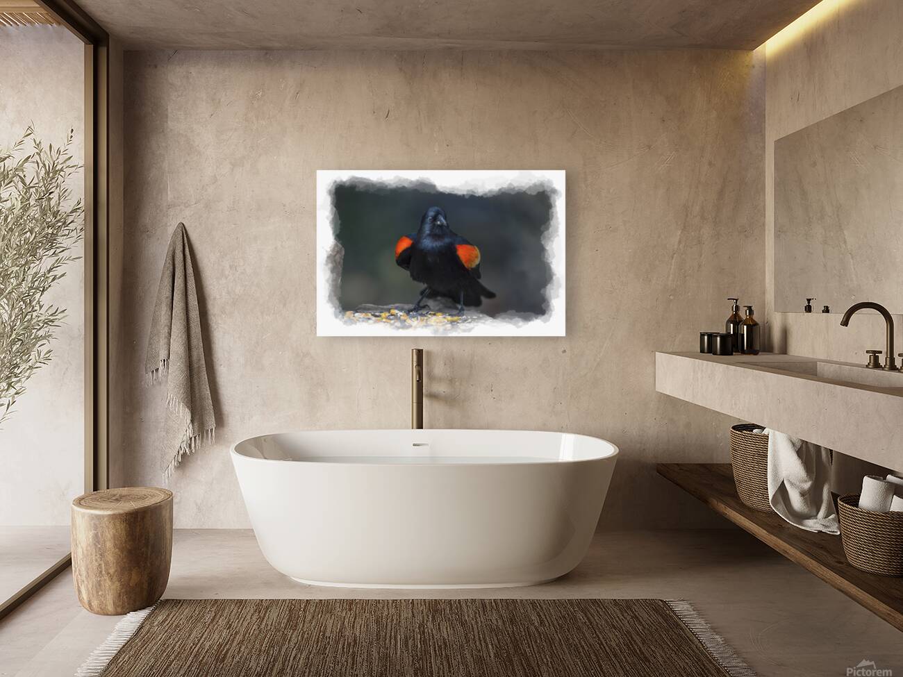 Red-winged Blackbird Reproduction