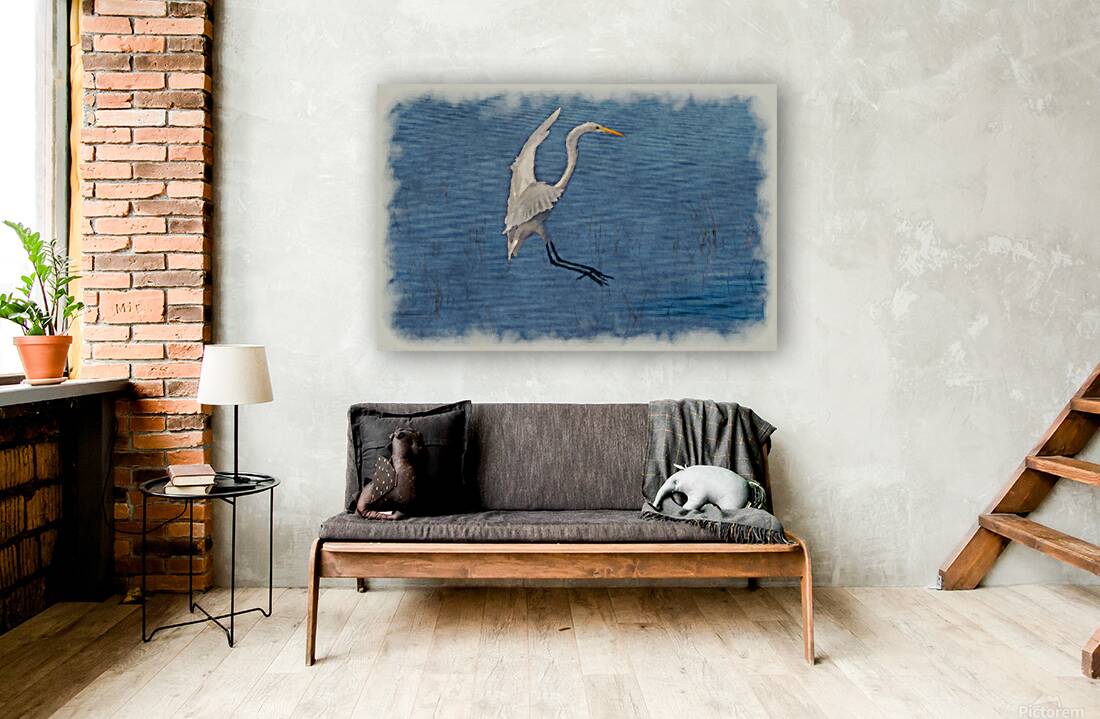 White egret landing Reproduction