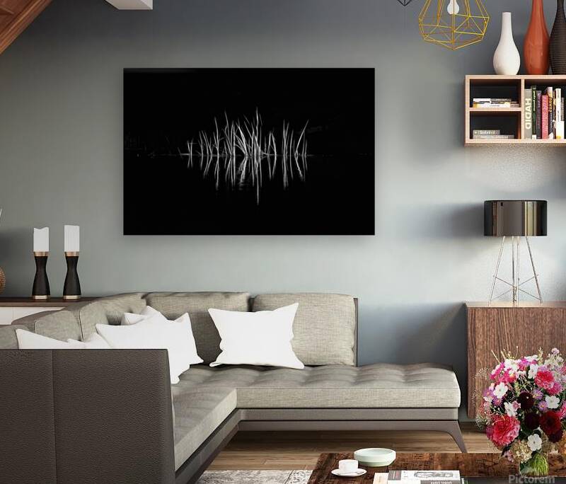 Reeds along the bank along a stream Reproduction