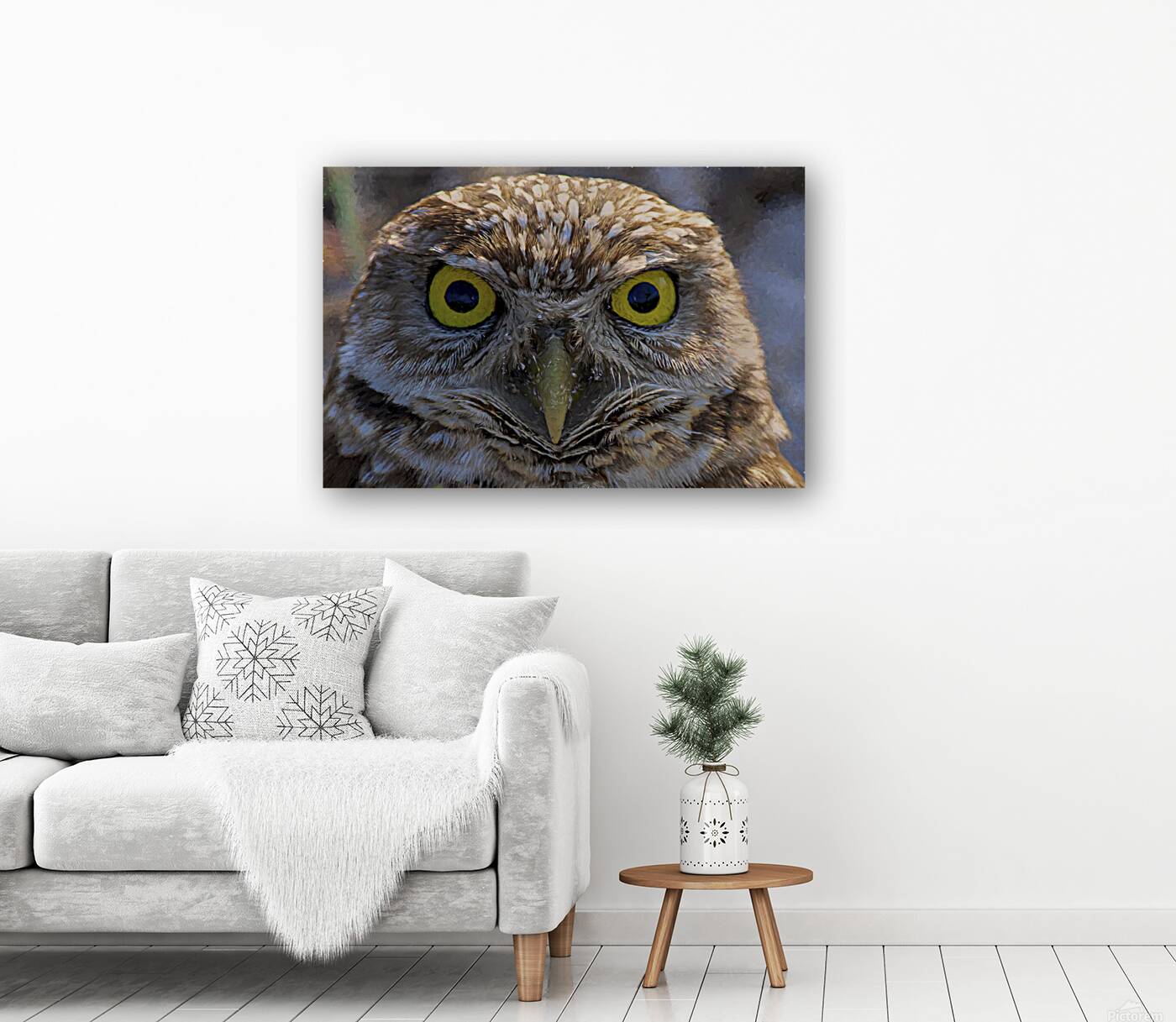 Two yellow eyes Reproduction
