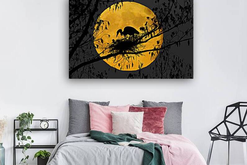 Blue heron nesting in full moon by Daniel L Friend