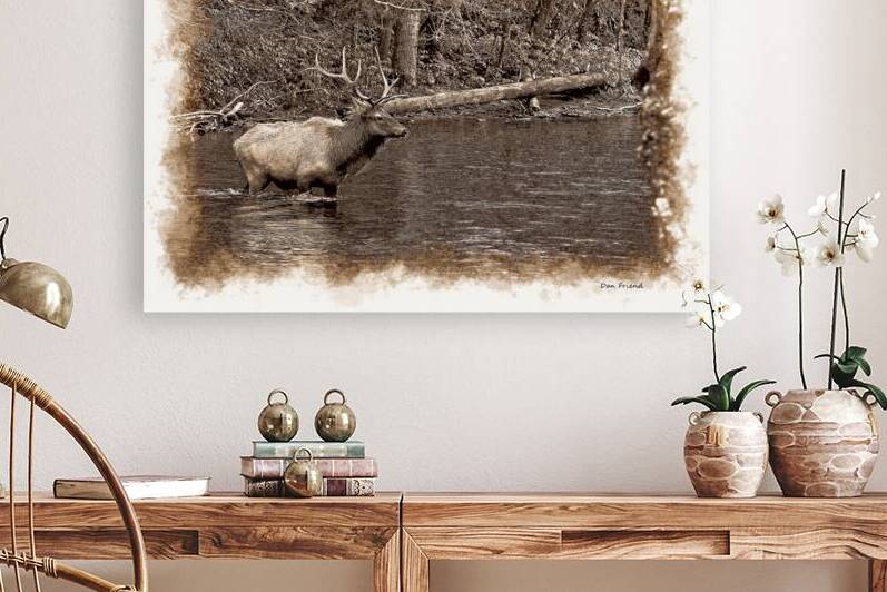 Elk crossing a river Reproduction