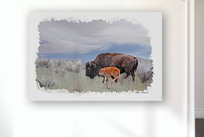 Mother buffalo with her little one by Daniel L Friend