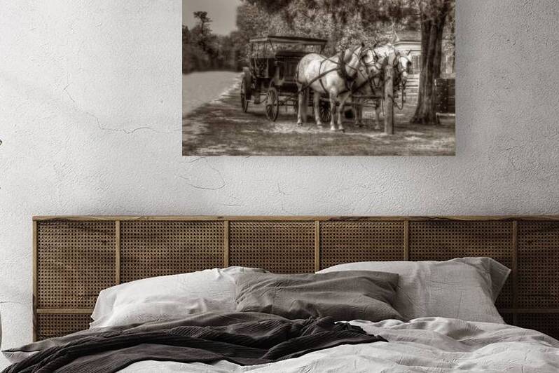 Horses and buggy by tree by Daniel L Friend