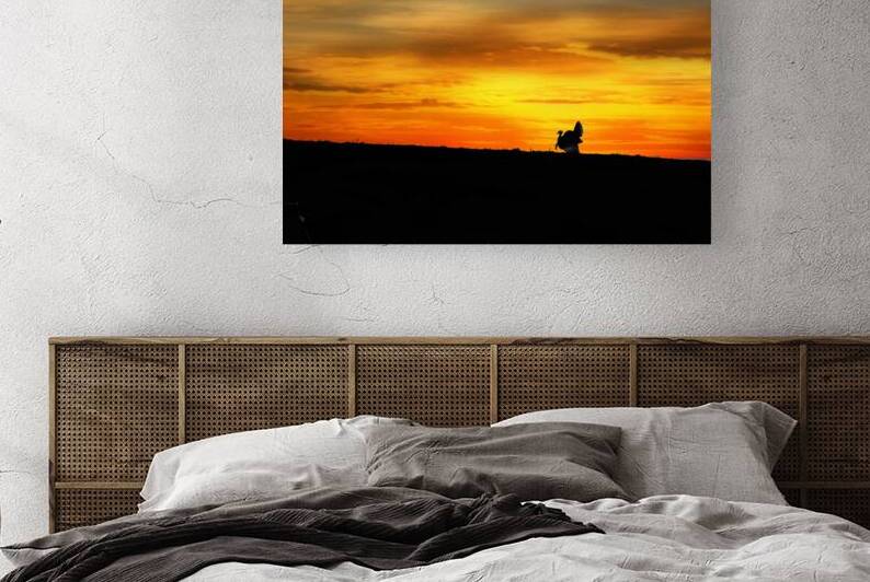 Silhouette wild turkey in field at sunset  by Daniel L Friend