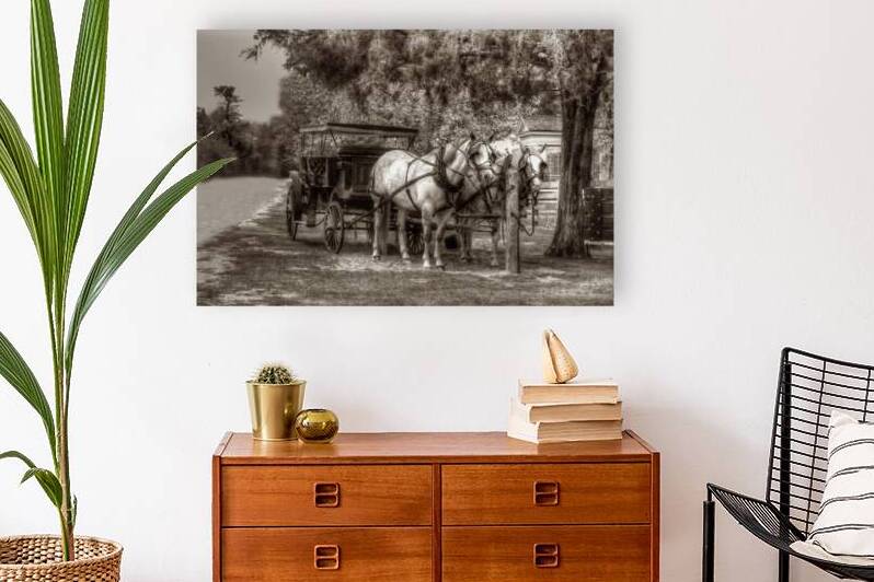 Horses and buggy by tree by Daniel L Friend